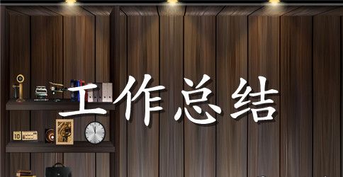 【精华】员工年终个人工作总结范文7篇